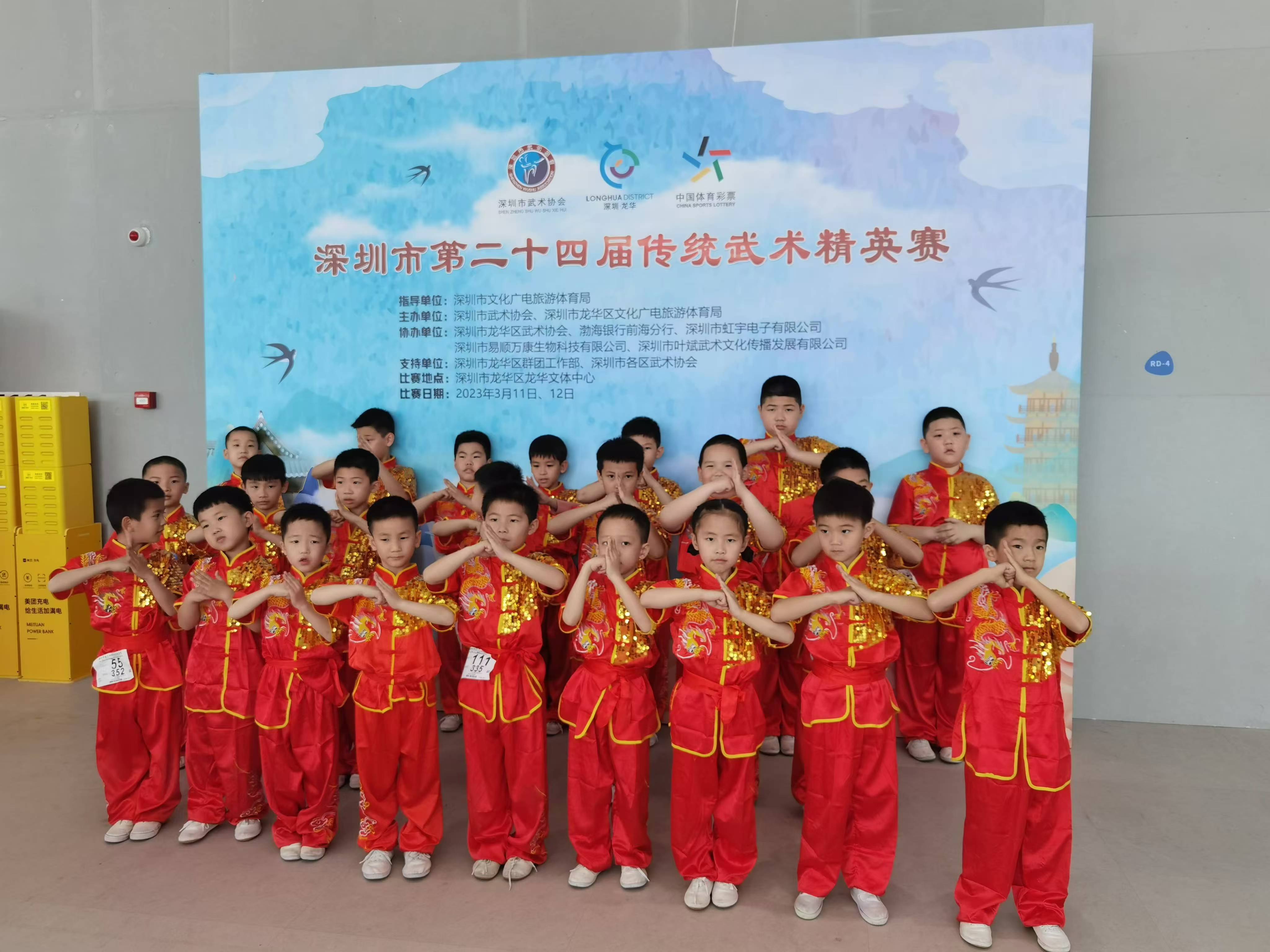 传统武术表演，传承中华文化的魅力