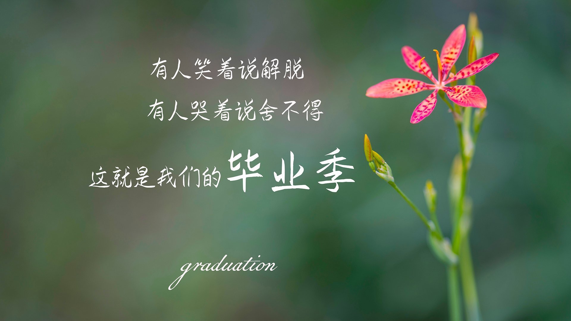 法甲激战连连，战术变化迭出，精彩剧情不断，法甲动作大