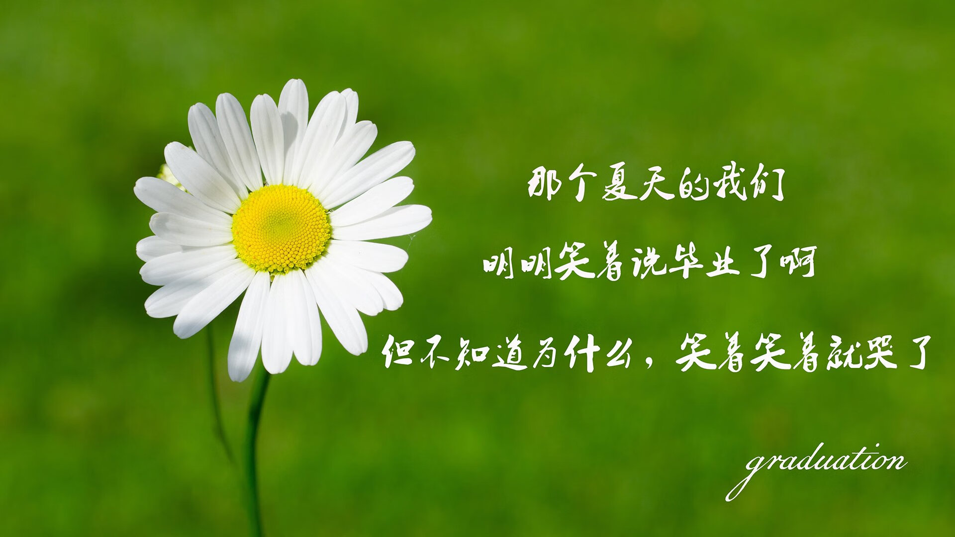 开云官方-野外炮弹竞技攀岩，勇攀高峰的极致极限，野外攀岩装备