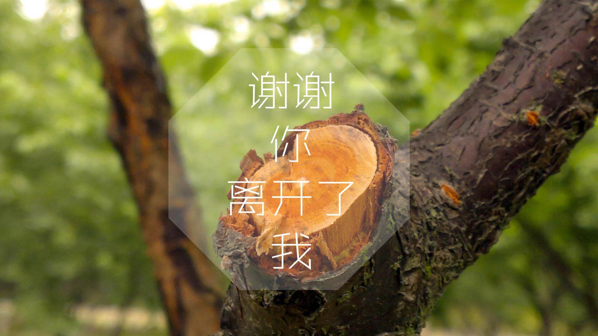 开云·体育官网APP下载-湖人遭遇失利詹姆斯空砍三十二分，詹姆斯湖人暴扣