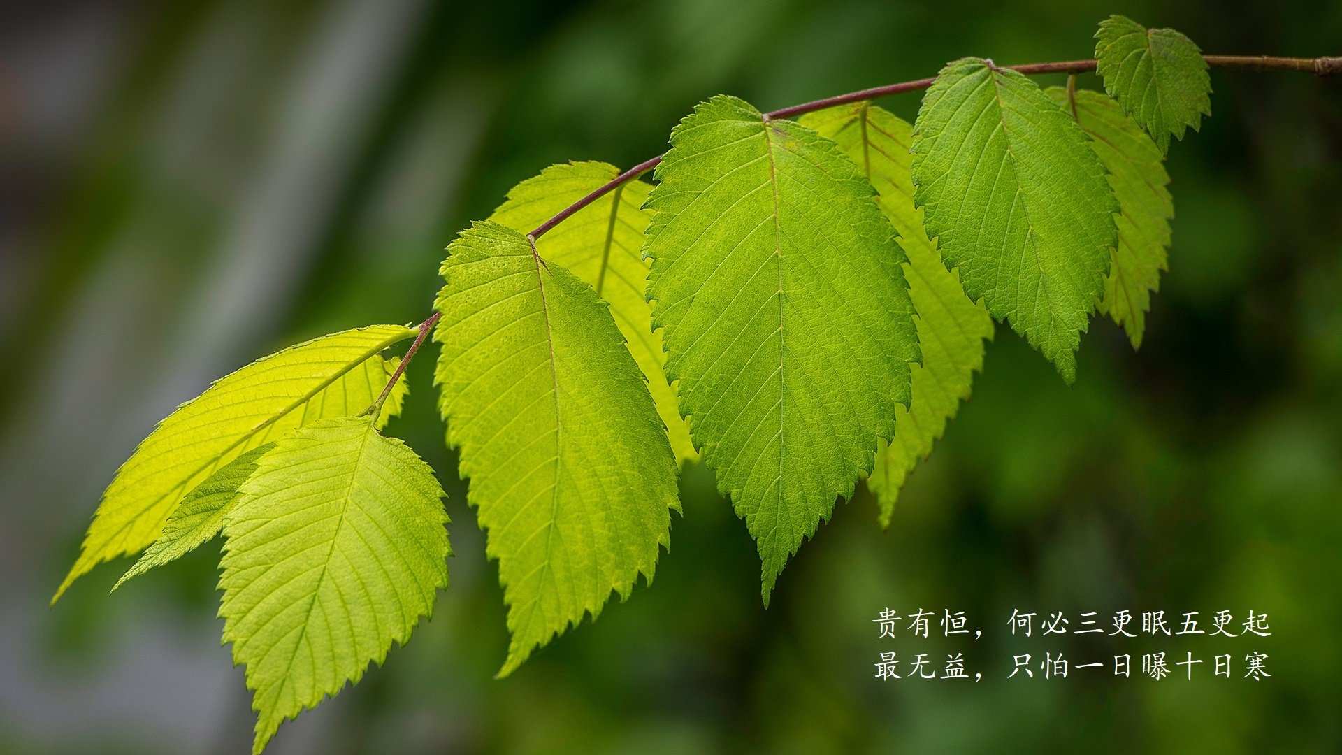KAIYUN 中国大陆-阿森纳失球连连，保级形势不容乐观，阿森纳如何