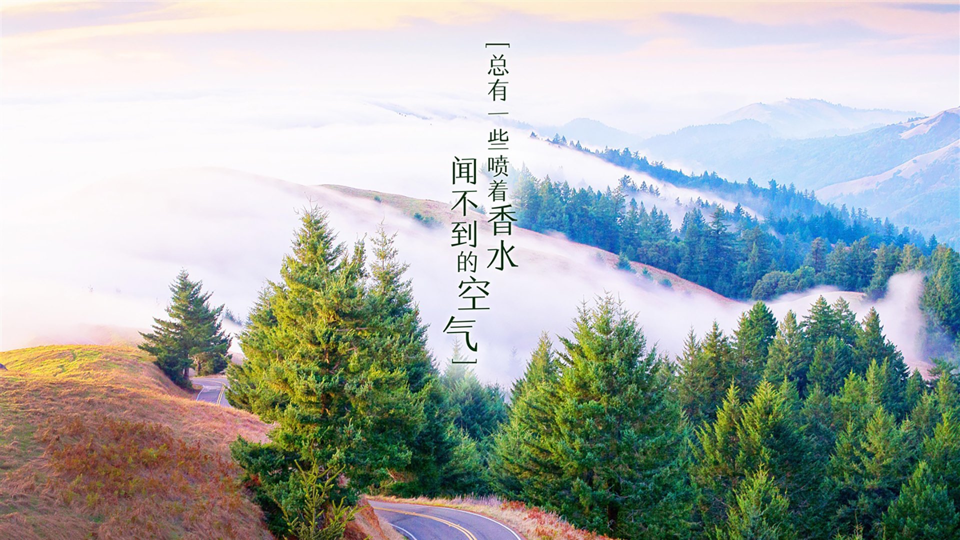 开云官网登录-俱乐部球员考核标准缺乏动态调整机制，俱乐部球赛