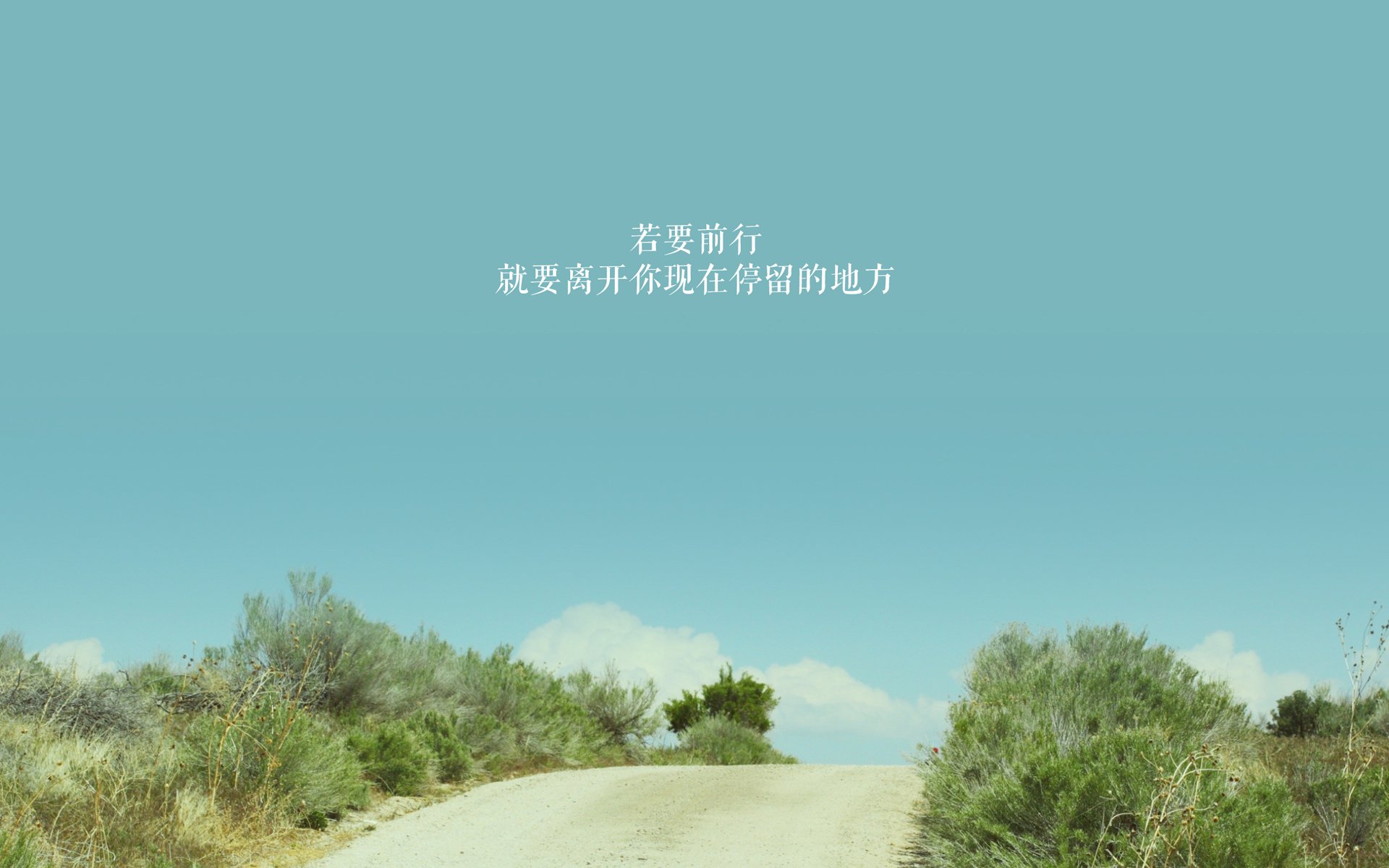 Kaiyun官方登录入口-男子蝶泳划水幅度：德澳领先？，蝶泳的划水动作轨迹是三维的