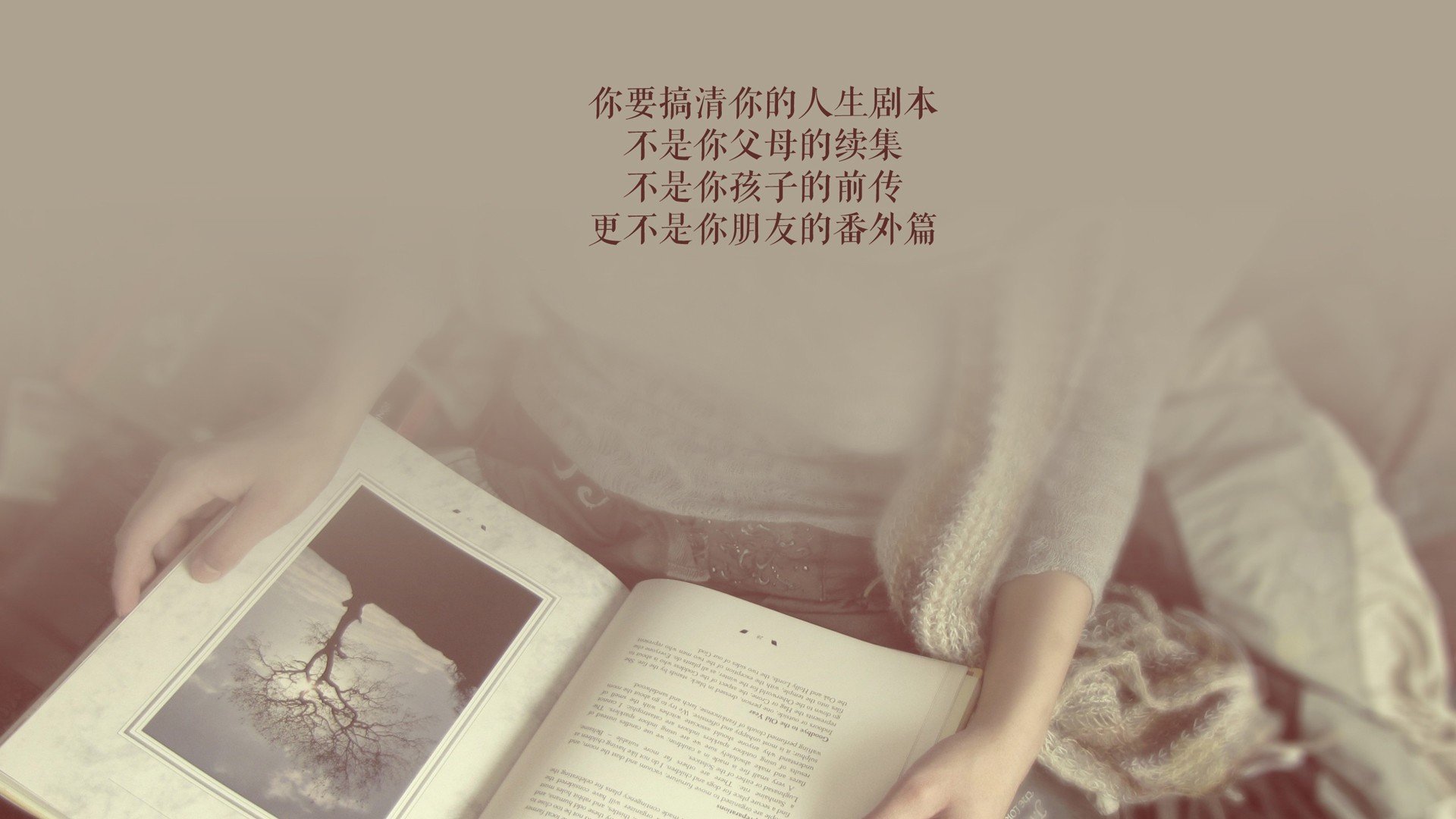 英超最后冲刺：逆境中坚韧不拔的拼搏精神，英超最后两轮分析